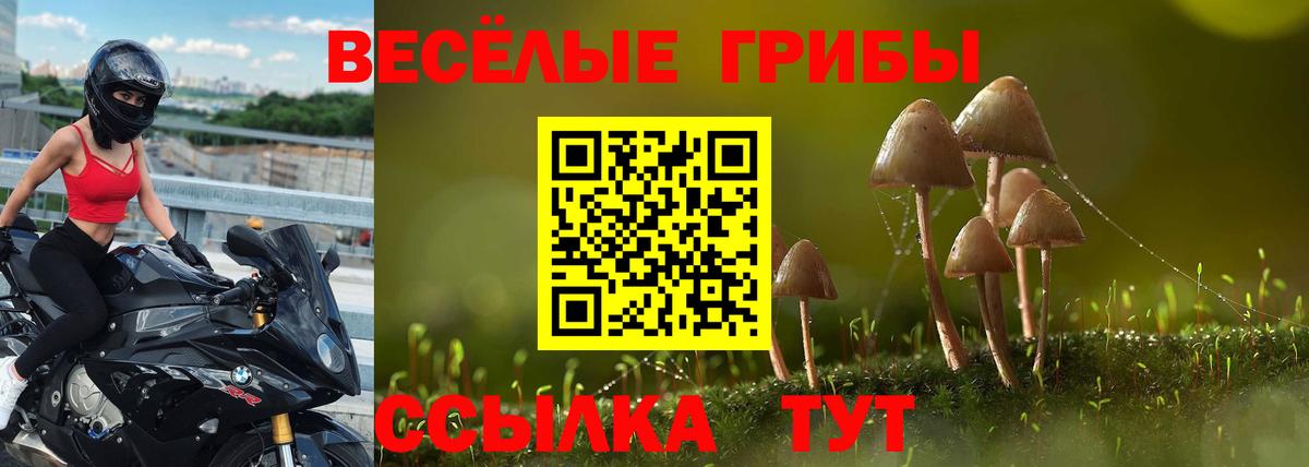 Галлюциногенные грибы Psilocybine cubensis  Вход с VPN  Анапа 